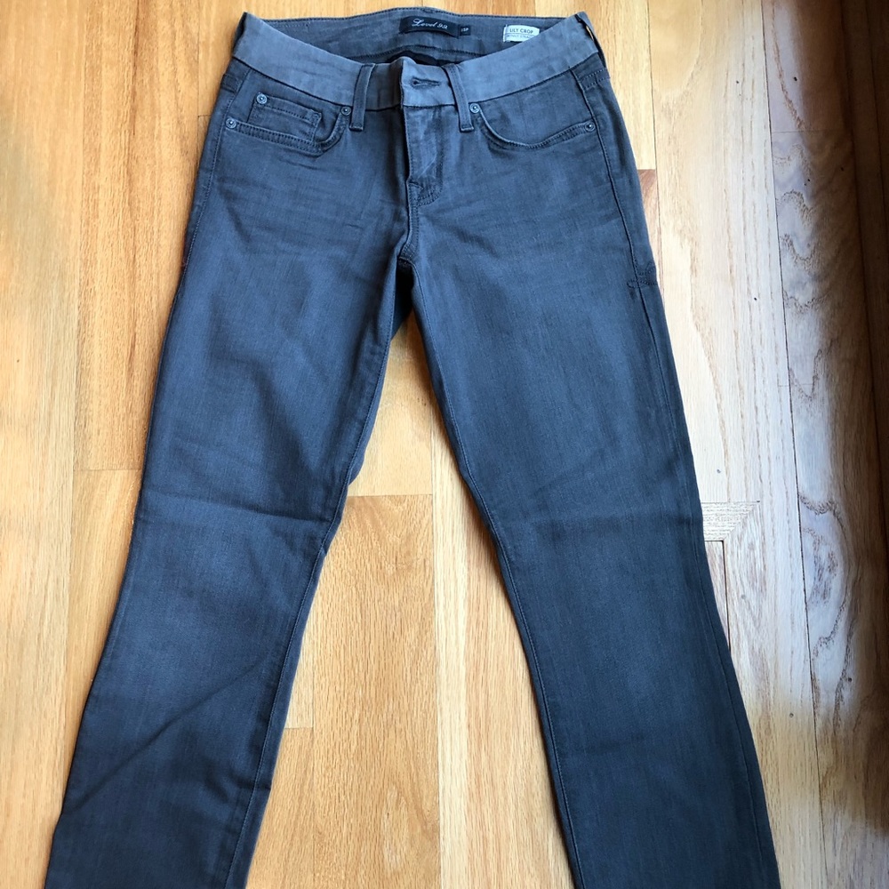 Level 99 Lily Crop (Skinny/Straight Leg) PETITE